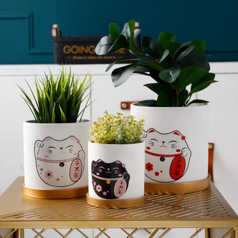 Succulent Plant Pots – Modern Decorative Mini Planters for Indoor Green Plants