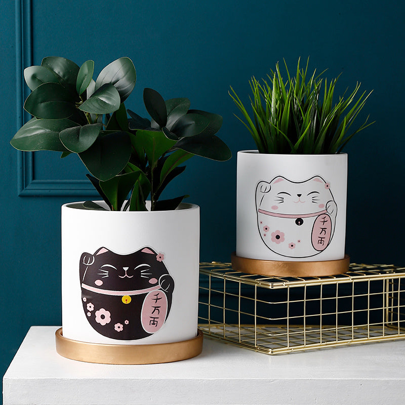 Succulent Plant Pots – Modern Decorative Mini Planters for Indoor Green Plants